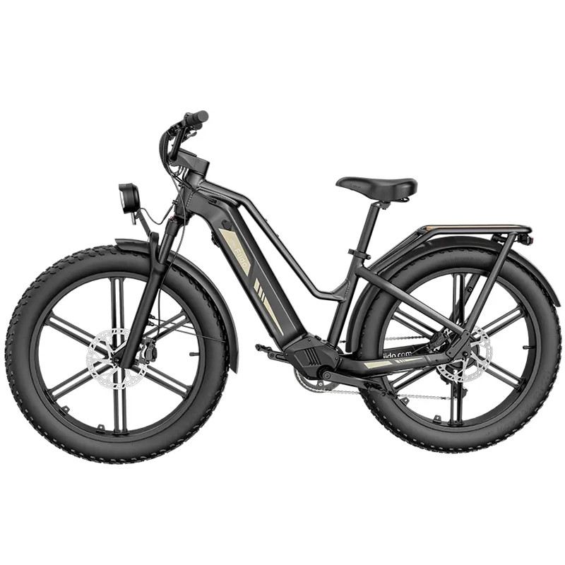 FIIDO TITAN FAT BIKE 250W 48V 14.5AH - STANDARD foto 5