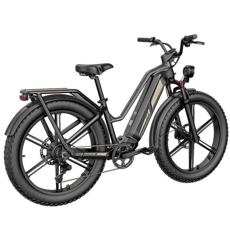 FIIDO TITAN FAT BIKE 250W 48V 14.5AH - STANDARD foto 6