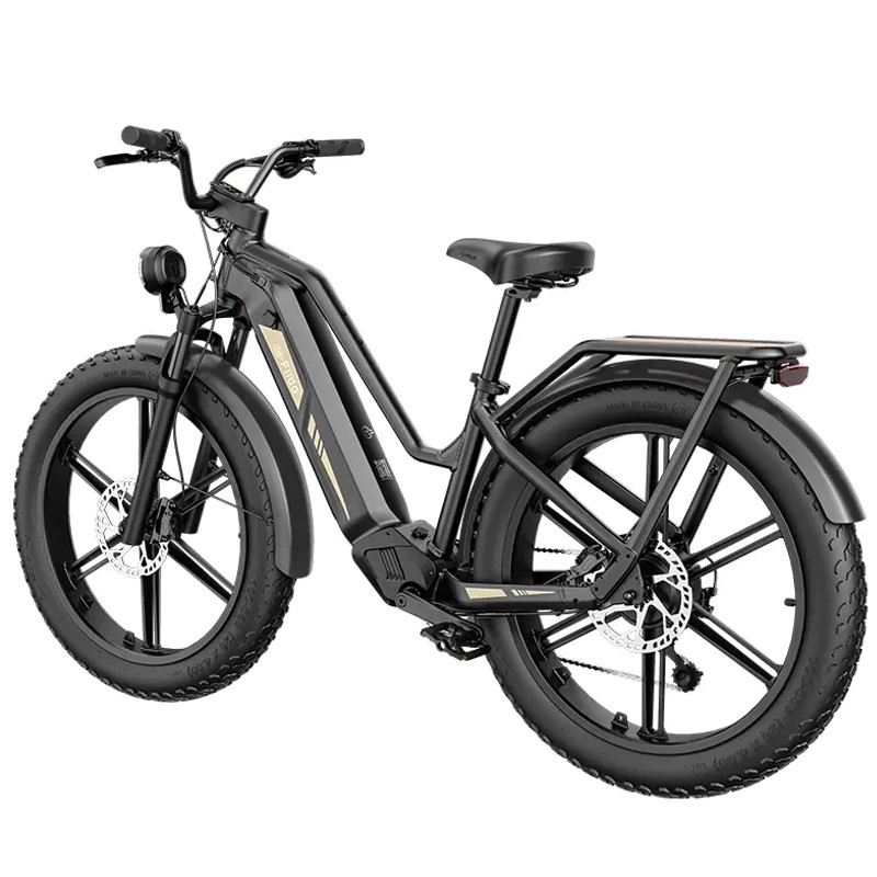 FIIDO TITAN FAT BIKE 250W 48V 14.5AH - STANDARD foto 7