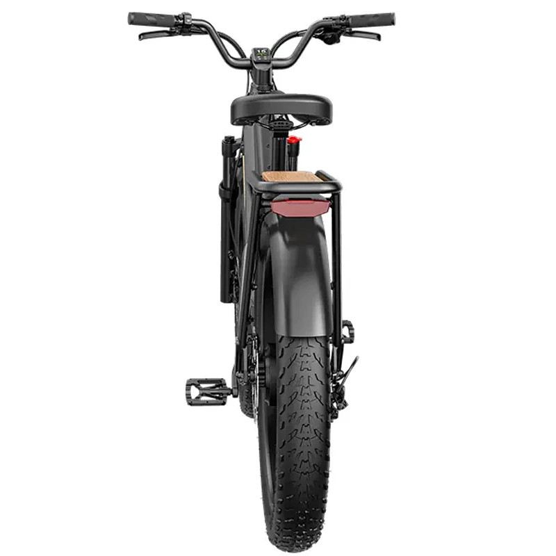 FIIDO TITAN FAT BIKE 250W 48V 14.5AH - STANDARD foto 8