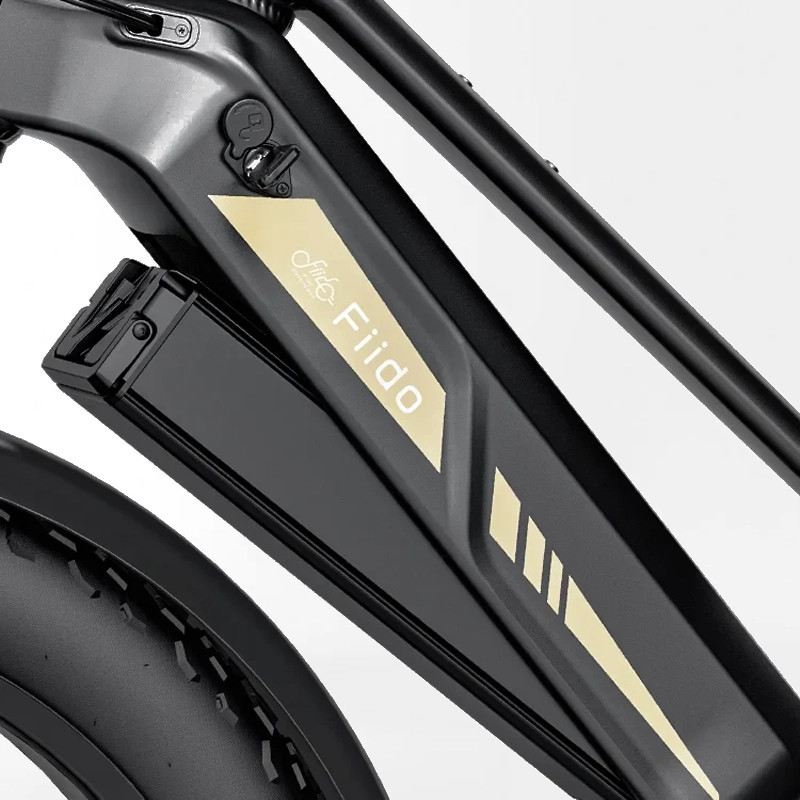 FIIDO TITAN FAT BIKE 250W 48V 14.5AH - STANDARD foto 10