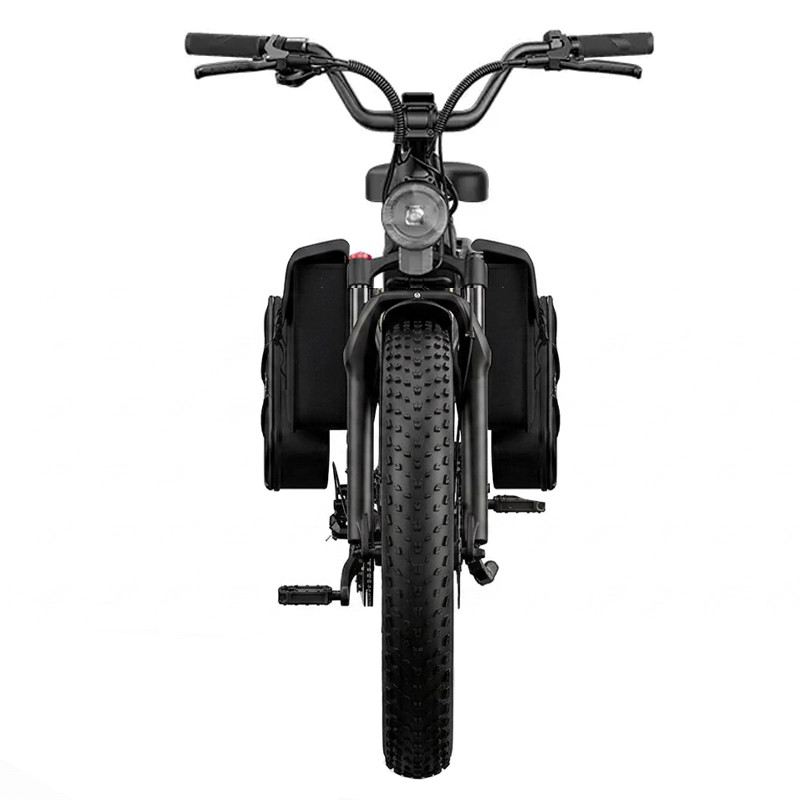 FIIDO TITAN FAT BIKE 250W 48V 14.5AH - EXTENDED - 3 BATTERIE foto 2