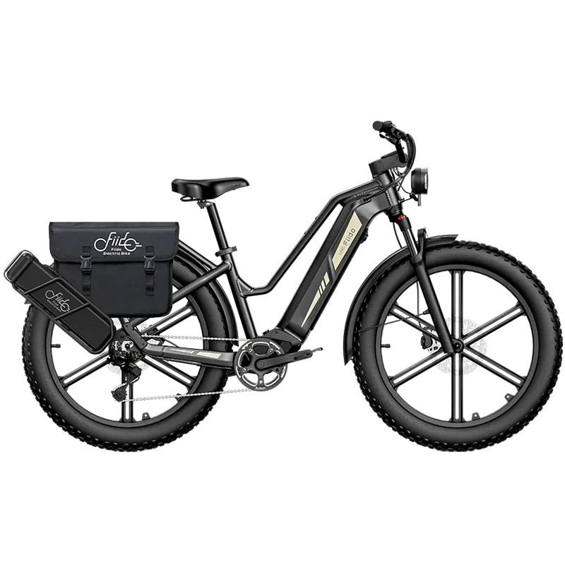 FIIDO TITAN FAT BIKE 250W 48V 14.5AH - EXTENDED - 3 BATTERIE foto 3