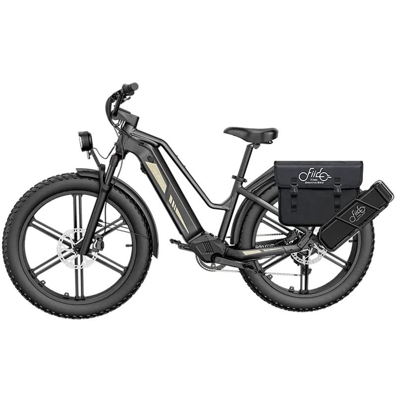 FIIDO TITAN FAT BIKE 250W 48V 14.5AH - EXTENDED - 3 BATTERIE foto 4