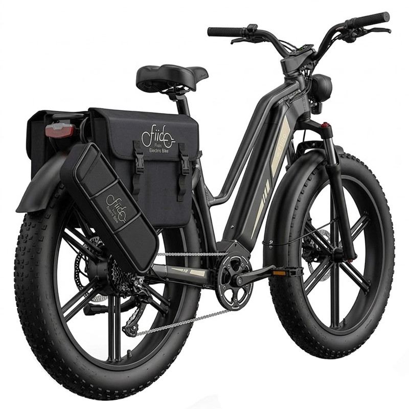 FIIDO TITAN FAT BIKE 250W 48V 14.5AH - EXTENDED - 3 BATTERIE foto 5
