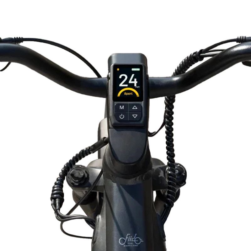 FIIDO TITAN FAT BIKE 250W 48V 14.5AH - EXTENDED - 3 BATTERIE foto 7