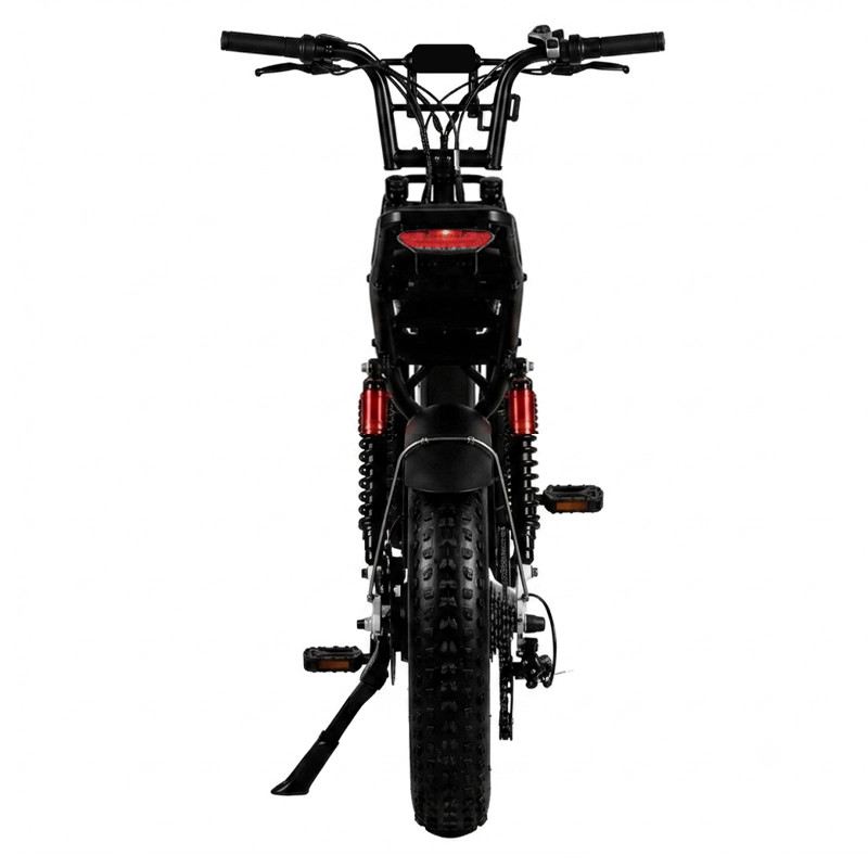 SPEEDY S20 PRO FAT E-BIKE 250W 48V FULL SUSPENSION foto 8
