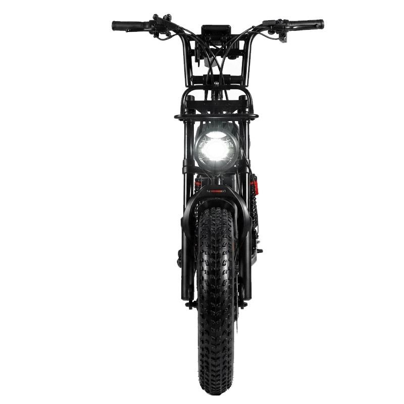 SPEEDY S20 PRO FAT E-BIKE 250W 48V FULL SUSPENSION foto 10