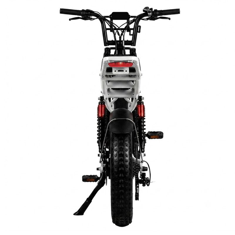 SPEEDY S20 PRO FAT E-BIKE 250W 48V FULL SUSPENSION foto 14