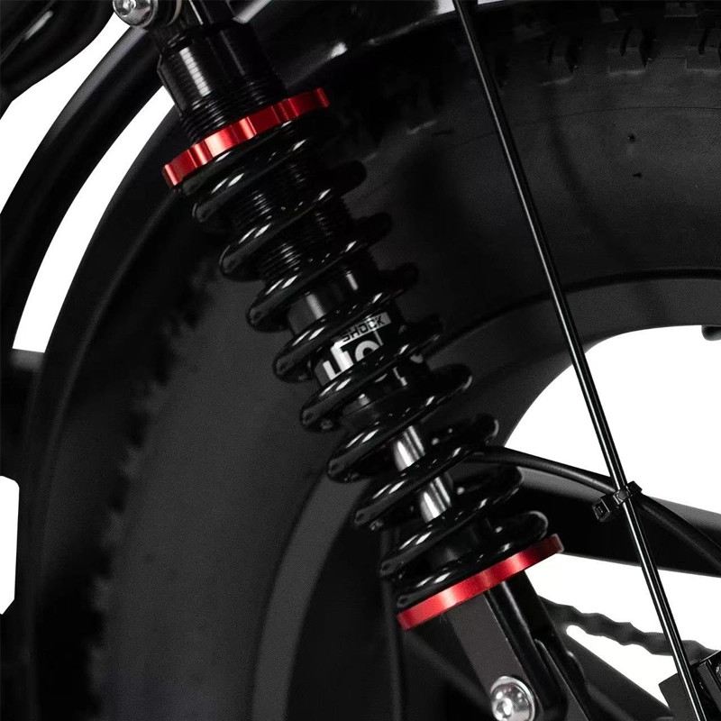EAGSBIKE SAMUR GT PRO FAT E-BIKE 250W 48V DOPPIA BATTERIA FULL SUSPENSION foto 5