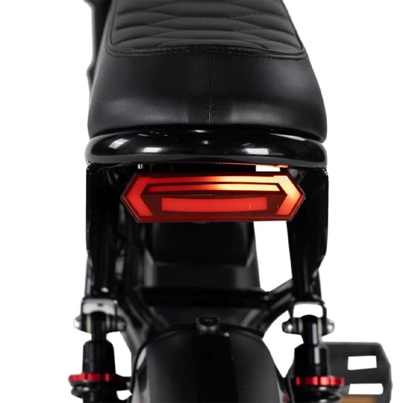 EAGSBIKE SAMUR GT PRO FAT E-BIKE 250W 48V DOPPIA BATTERIA FULL SUSPENSION foto 7