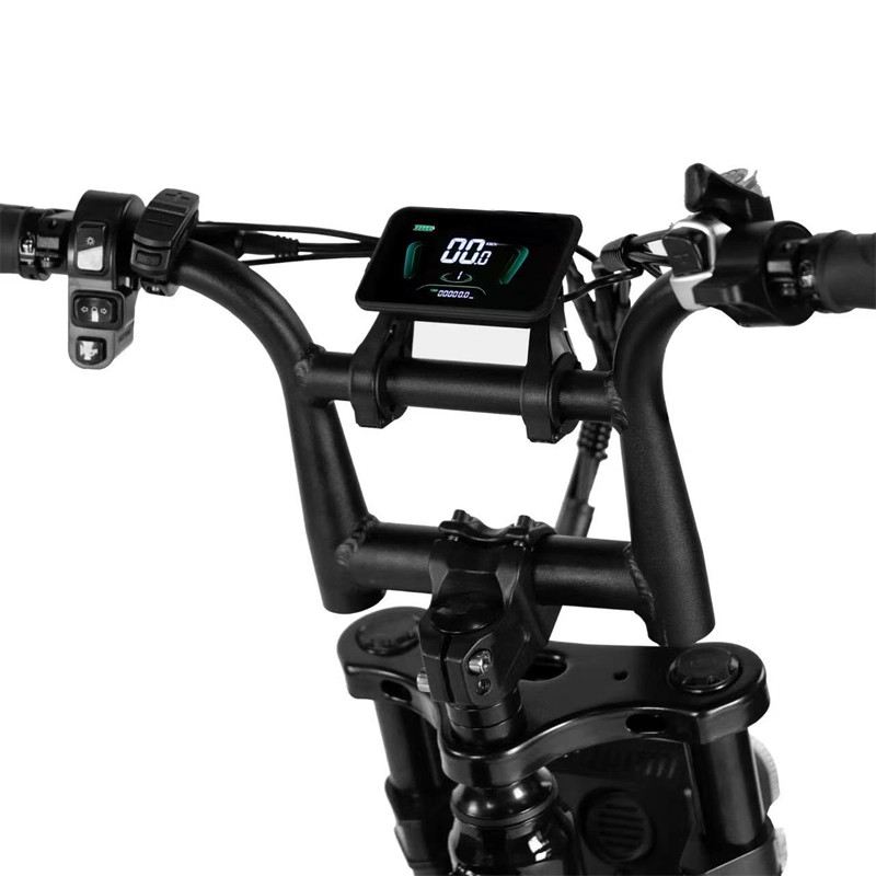 EAGSBIKE SAMUR GT PRO FAT E-BIKE 250W 48V DOPPIA BATTERIA FULL SUSPENSION foto 8
